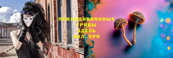 сатива Алзамай