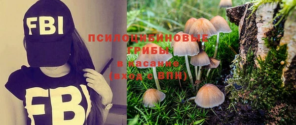 a pvp Алексин